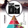 xtreme – bold & powerful (men) | cassie perfumes